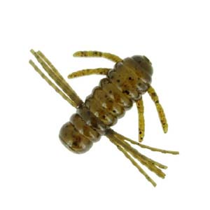 バークレイ Berkley バークレイ 青木虫 アオキムシ 1.5インチ グリーンパンプキン MAM1.5-GP