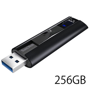 サンディスク SanDisk 海外パッケージ サンディスク USBメモリ 256GB