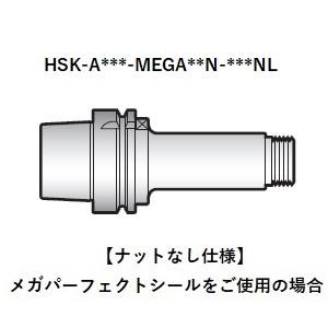 大昭和精機 BIG DAISHOWA HSK-A50-MEGA10N-100NL メガニューベビー