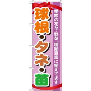 のぼり屋工房 のぼり屋工房 のぼり 球根 タネ 苗 GNB-1076