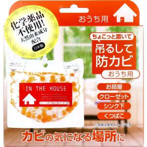 ビッグバイオ ビッグバイオ ちょこっと置いて吊るして防カビ おうち用 150g