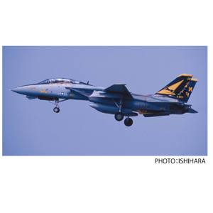 プラッツ プラッツ/イタレリ 1/48 アメリカ海軍 F-14A トムキャット VF-21 フリーランサーズ 厚木基地 TPA-30