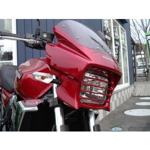 プレジャー プレジャー PK1352 ヘッドライトルーバー パールメテオグレー ZRX1200 DAEG