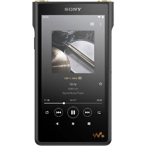 ソニー SONY ソニー SONY NW-WM1AM2 128GB ウォークマンWM1シリーズ