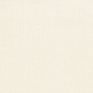 清原 KIYOHARA KIYOHARA パレットカラー帆布 11号 生地 無地 綿100% 約110cm×50cmカット W ホワイト KOF02-50 W 清原