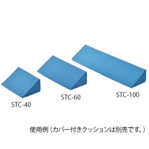 ナビス アズワン AS ONE アズワン ナビス 8-8680-11 体位固定クッション 600mm用 交換カバー