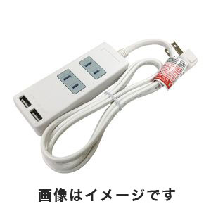 星光商事 星光商事 USB付タップ 2個口 込口防塵シャッター付 3-8318-01 SK-2T2USBW