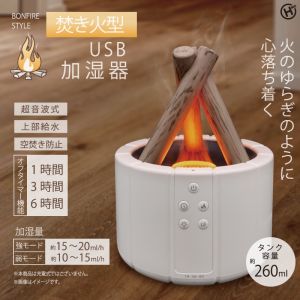ヒロコーポレーション ヒロコーポ HED-2801 焚き火型USB加湿器