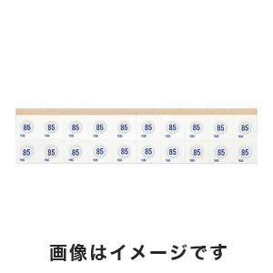 アズワン AS ONE アズワン サーモピット1K 不可逆性・1温表示 2-2601