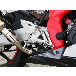 ベビーフェイス BabyFace ベビーフェイス 002-BH002SV セットバックプレート シルバー CBR250RR 17-