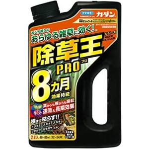 フマキラー フマキラー カダン除草王ザッソージエース 1L | あきばお