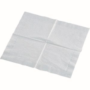 遠藤商事 TKG TKG ナプキン 白無地 4ッ折 2ply 33×33cm 2，000枚入 PNP0601 遠藤商事