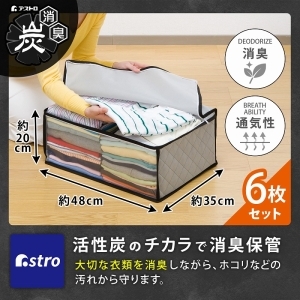 アストロ アストロ 活性炭衣類整理袋 6枚組 171-11