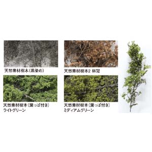 カトー KATO KATO 24-556 天然素材樹木 葉っぱ付き ライトグリーン