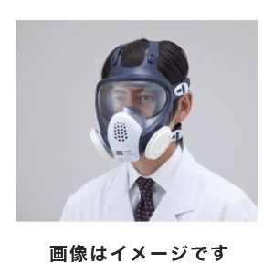 SHIGEMATSU/重松製作所 TS 取替え式防じんマスク DR185L4N-1-