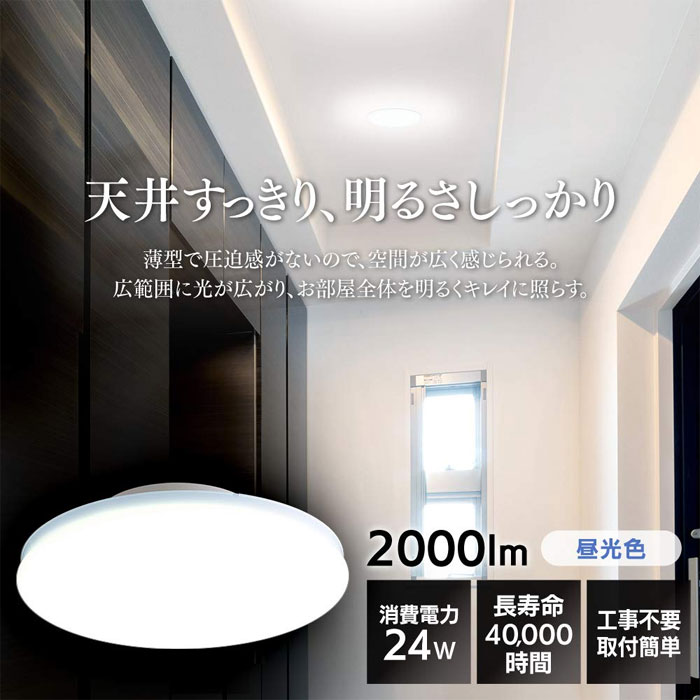  アイリスオーヤマ IRIS LEDシーリングライト 小型 薄形 昼光色 2000lm SCL20D-UU