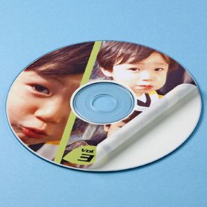 サンワサプライ SANWA SUPPLY インクジェットフォト光沢DVD/CDラベル LB-CDR005N
