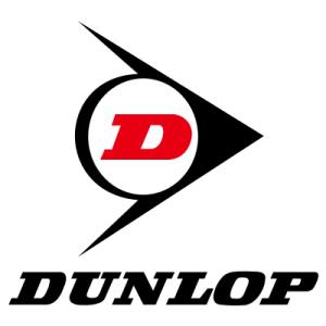 ダンロップ DUNLOP ダンロップ チューブ 400/450-12 TR87S DUNLOP