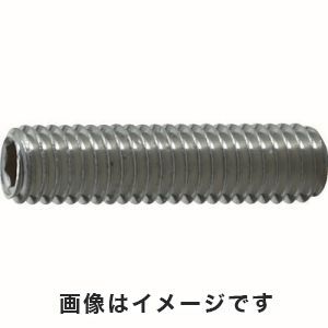 トラスコ中山 TRUSCO 六角穴付止めネジ 平先 ステンレス M3×2.5 40本入 B77-03025